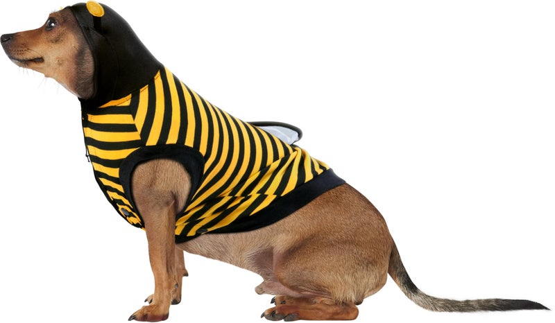 Rubies Bumble Bee Pet Costume for Dogs or Cats, XL - Image 3